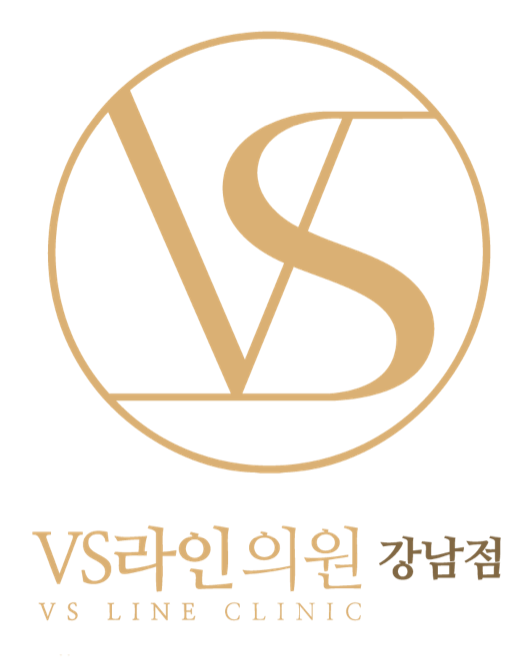 VS라인의원 강남점